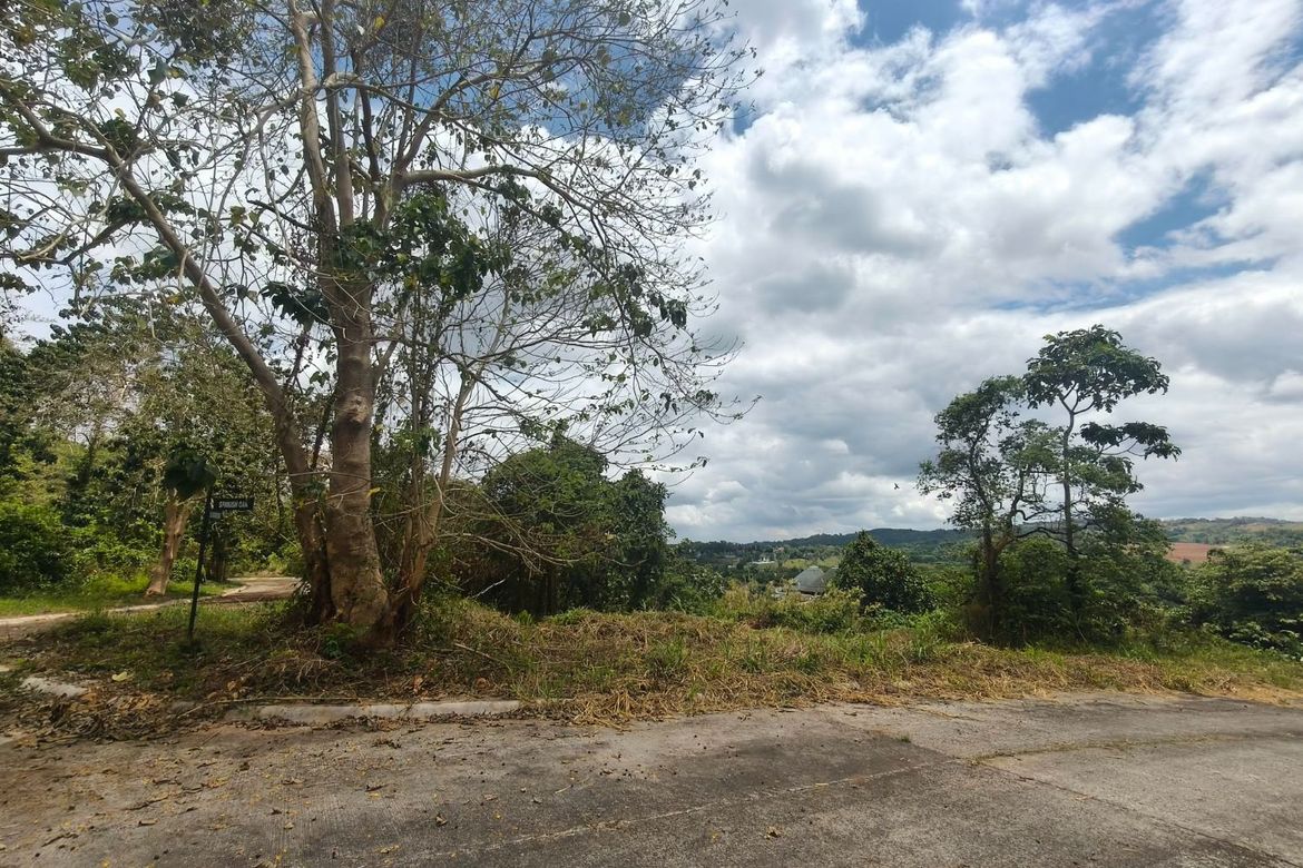 Land for Sale in Inarawan, Antipolo, Rizal – photo 4