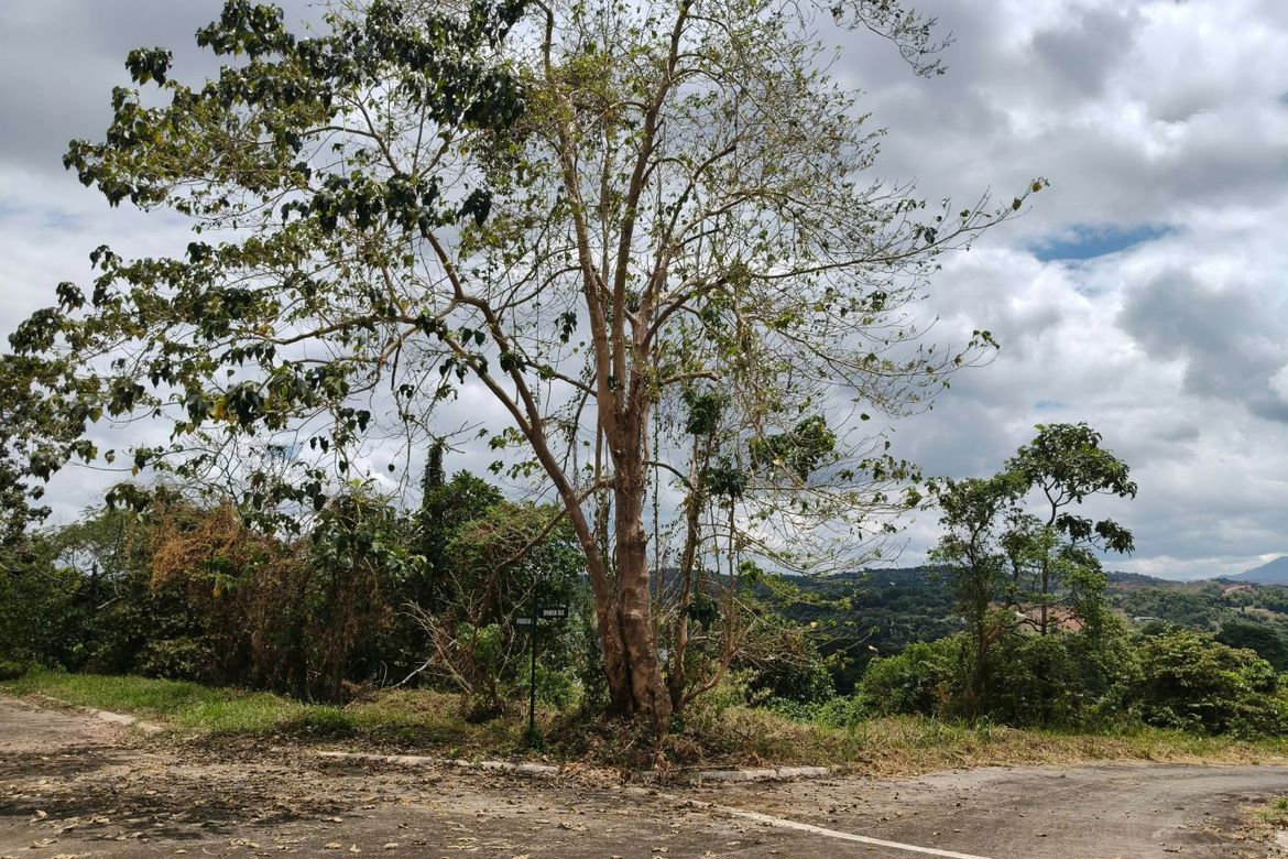 Land for Sale in Inarawan, Antipolo, Rizal – photo 5