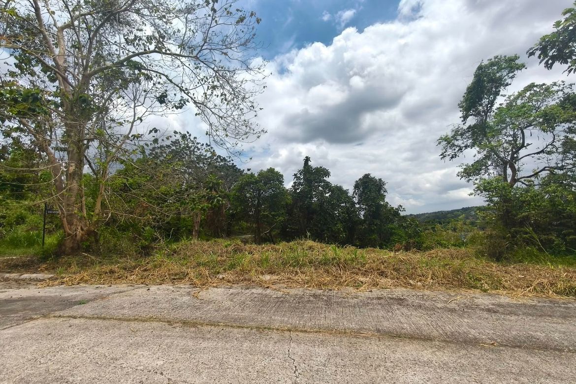 Land for Sale in Inarawan, Antipolo, Rizal – photo 6