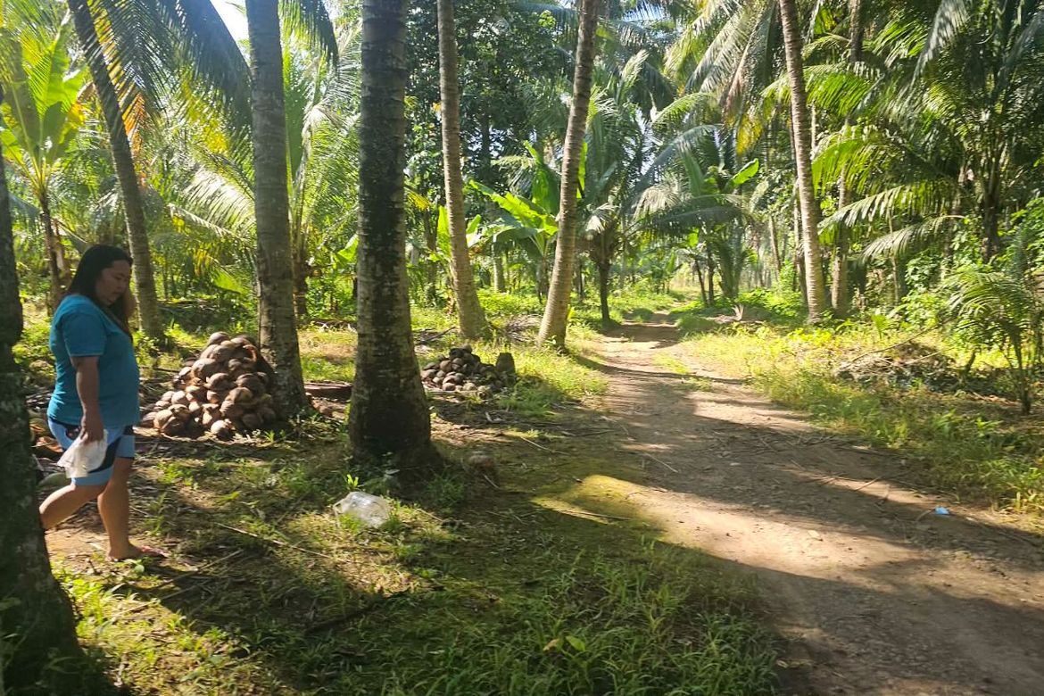 Land for Sale in Inawayan, Santa Cruz, Davao del Sur – photo 2