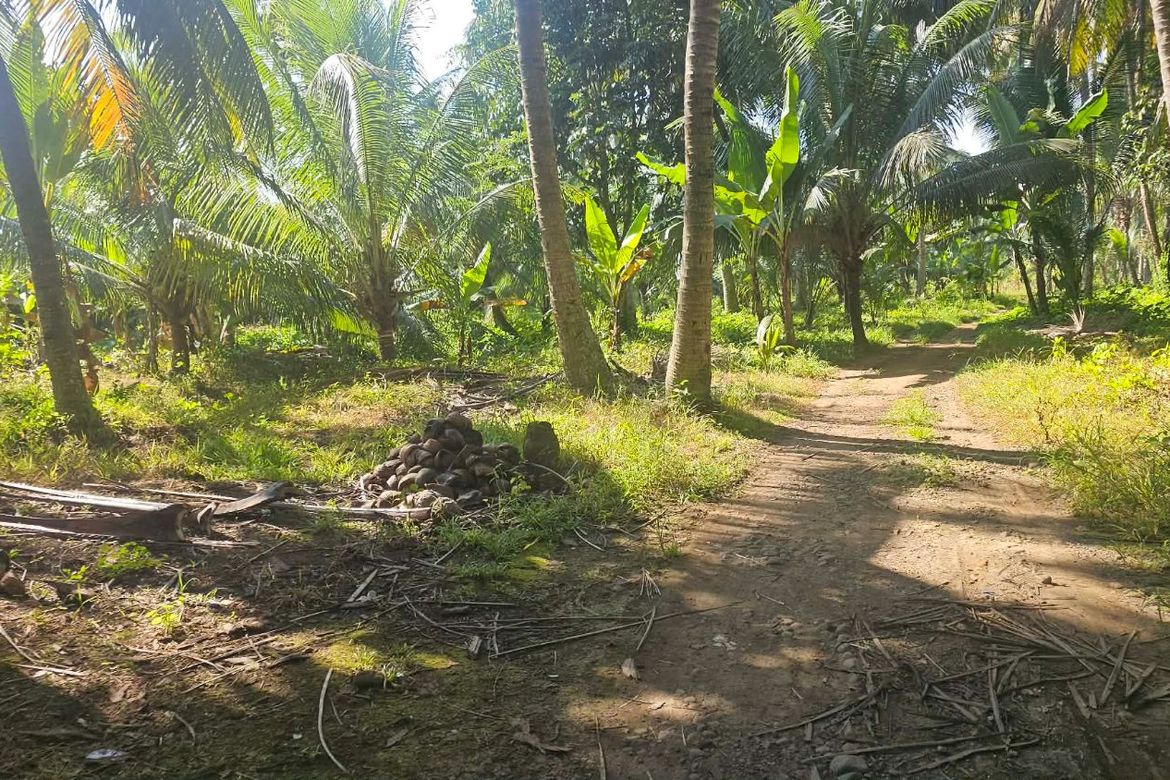 Land for Sale in Inawayan, Santa Cruz, Davao del Sur – photo 3