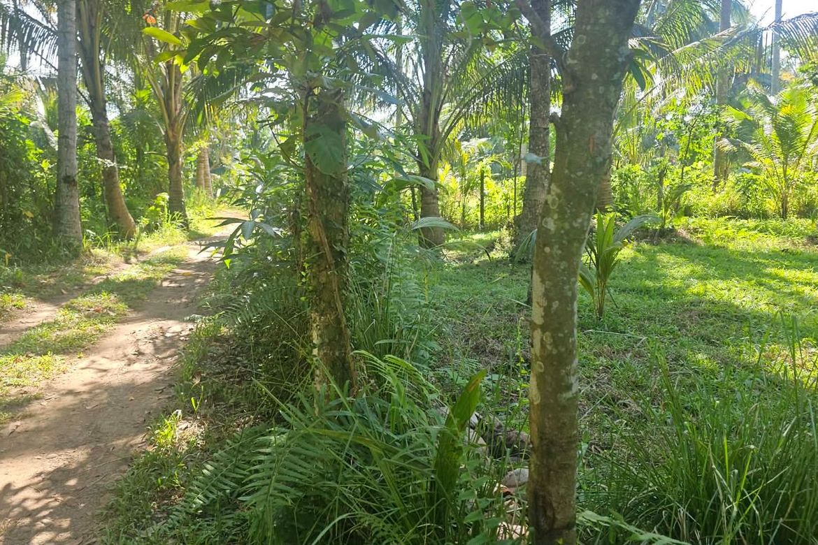 Land for Sale in Inawayan, Santa Cruz, Davao del Sur – photo 4