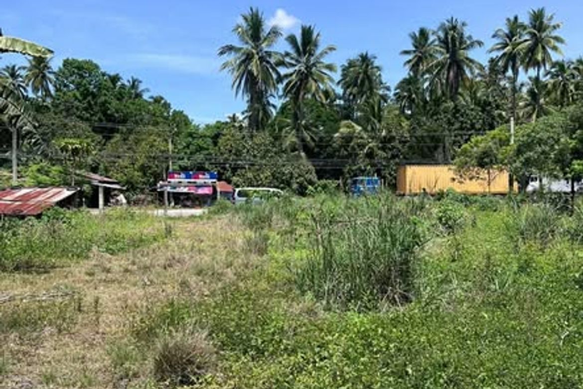 Land for Sale in Inayangan, Davao City, Davao del Sur – photo 2