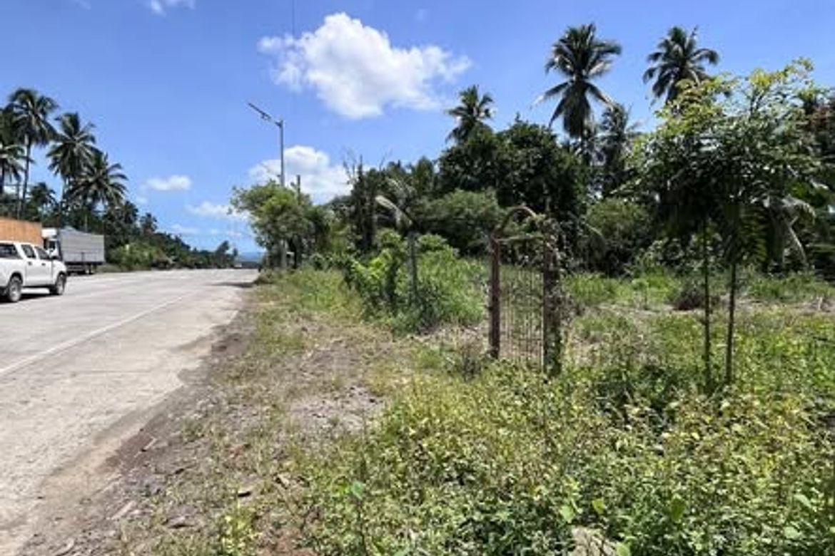 Land for Sale in Inayangan, Davao City, Davao del Sur – photo 3