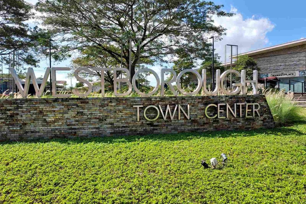 Land for Sale in Inchican, Silang, Cavite – photo 4