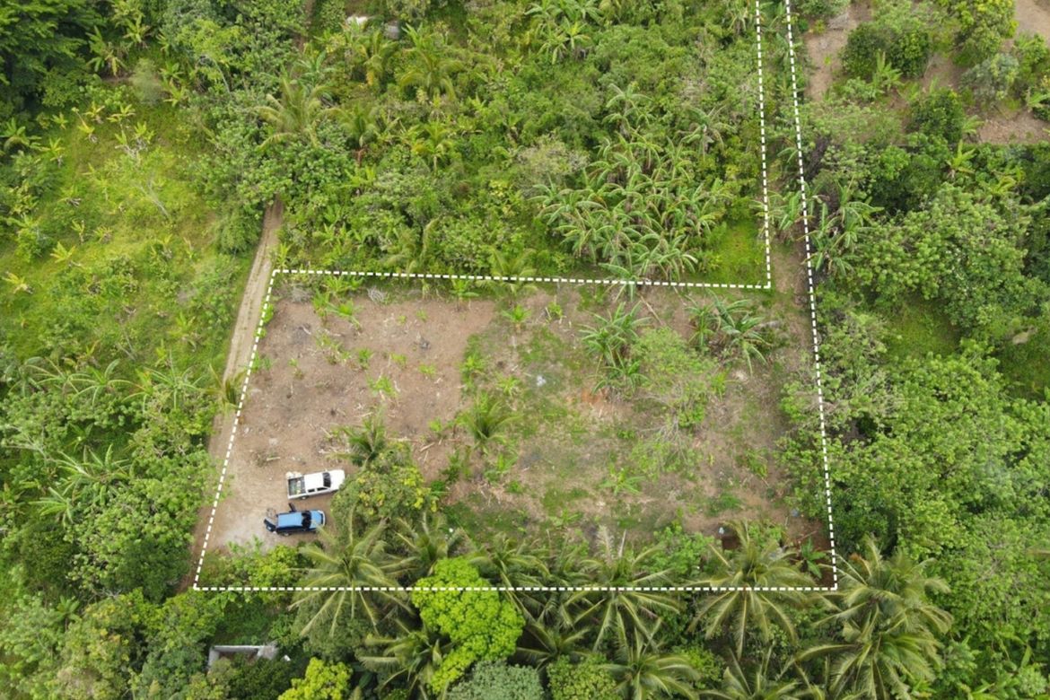 Land for Sale in Inchican, Silang, Cavite