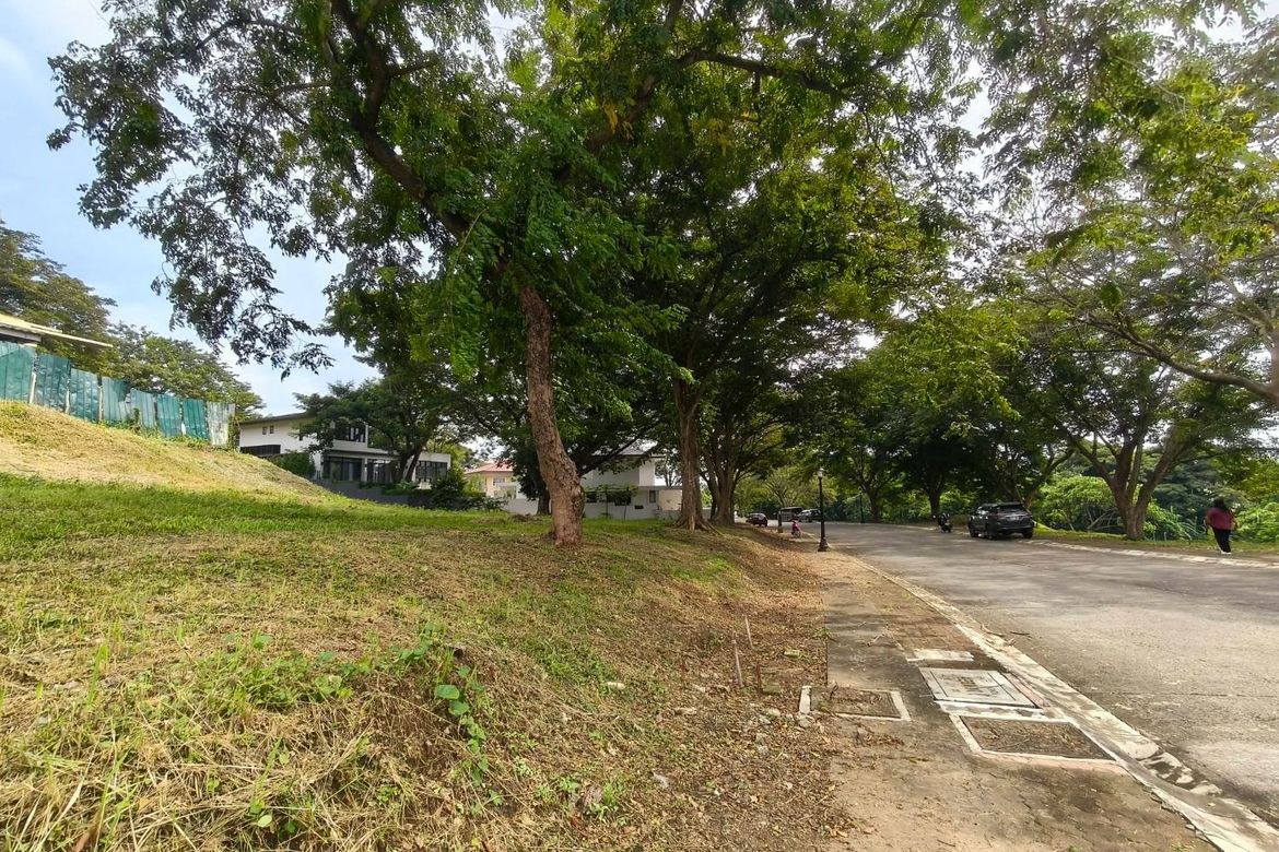 Land for Sale in Inchican, Silang, Cavite – photo 2