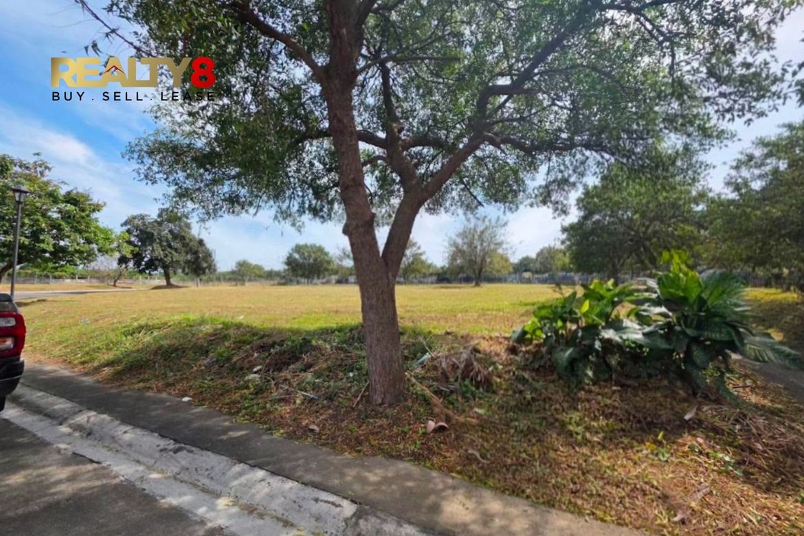 Land for Sale in Inchican, Silang, Cavite – photo 2