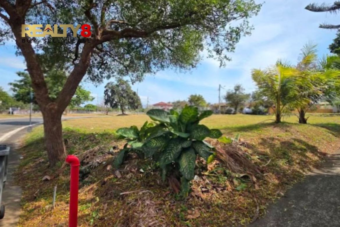 Land for Sale in Inchican, Silang, Cavite – photo 3