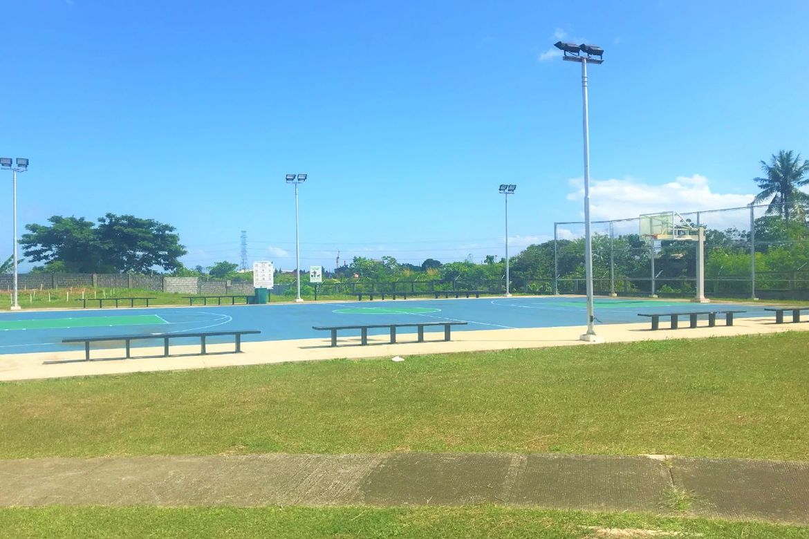 Land for Sale in Inchican, Silang, Cavite – photo 2
