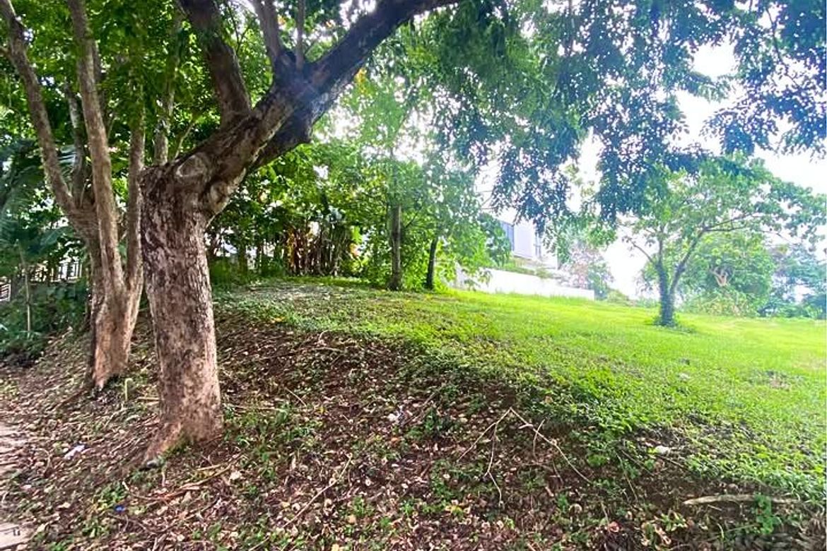 Land for Sale in Inchican, Silang, Cavite