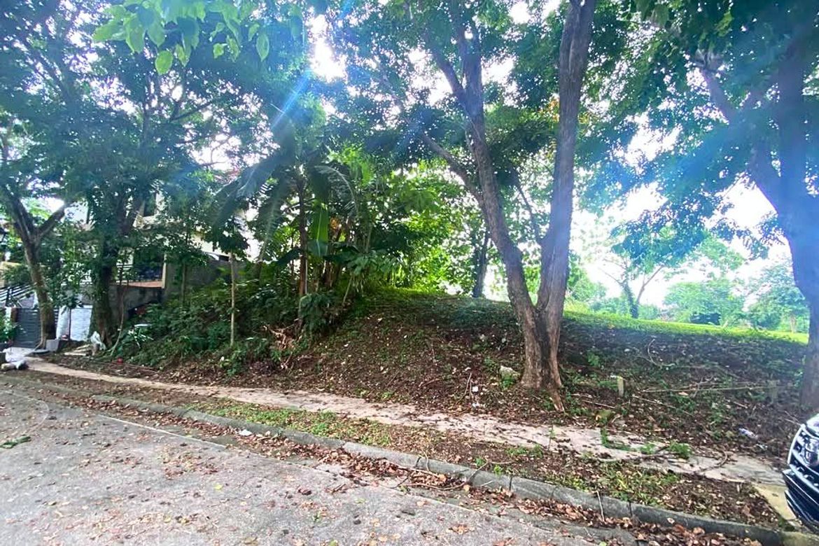 Land for Sale in Inchican, Silang, Cavite – photo 2