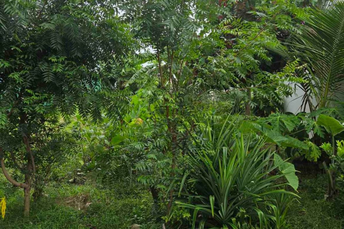 Land for Sale in Inchican, Silang, Cavite – photo 3