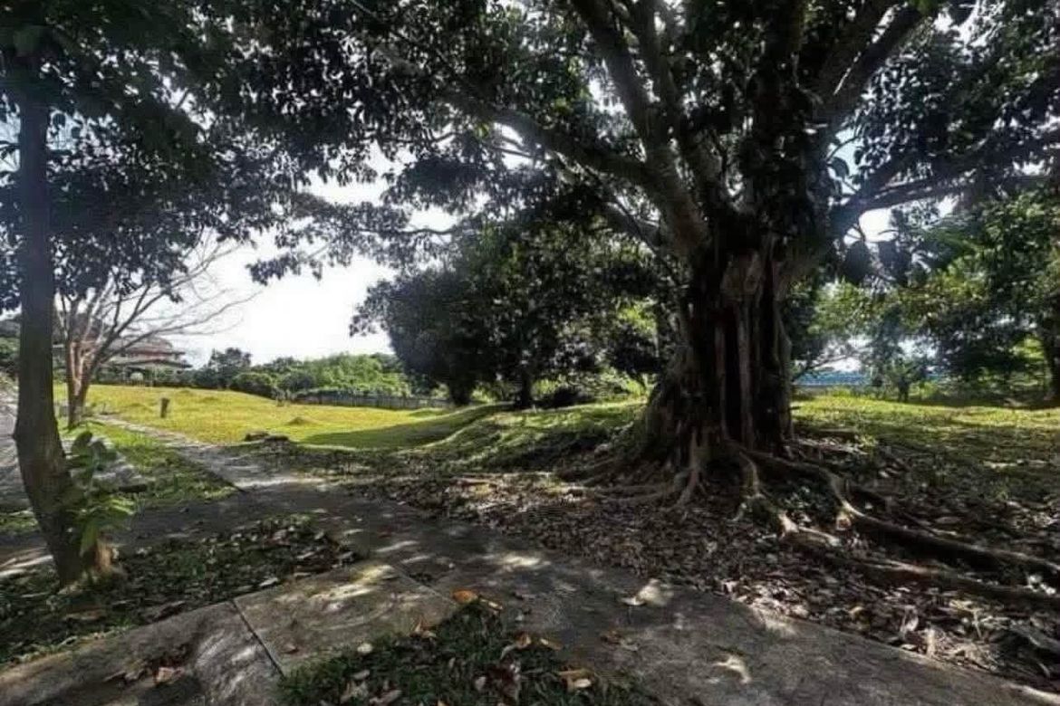 Land for Sale in Inchican, Silang, Cavite – photo 3