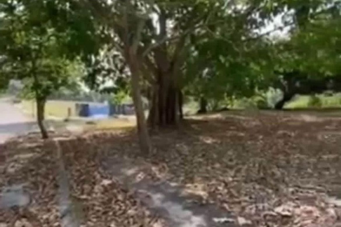 Land for Sale in Inchican, Silang, Cavite – photo 5
