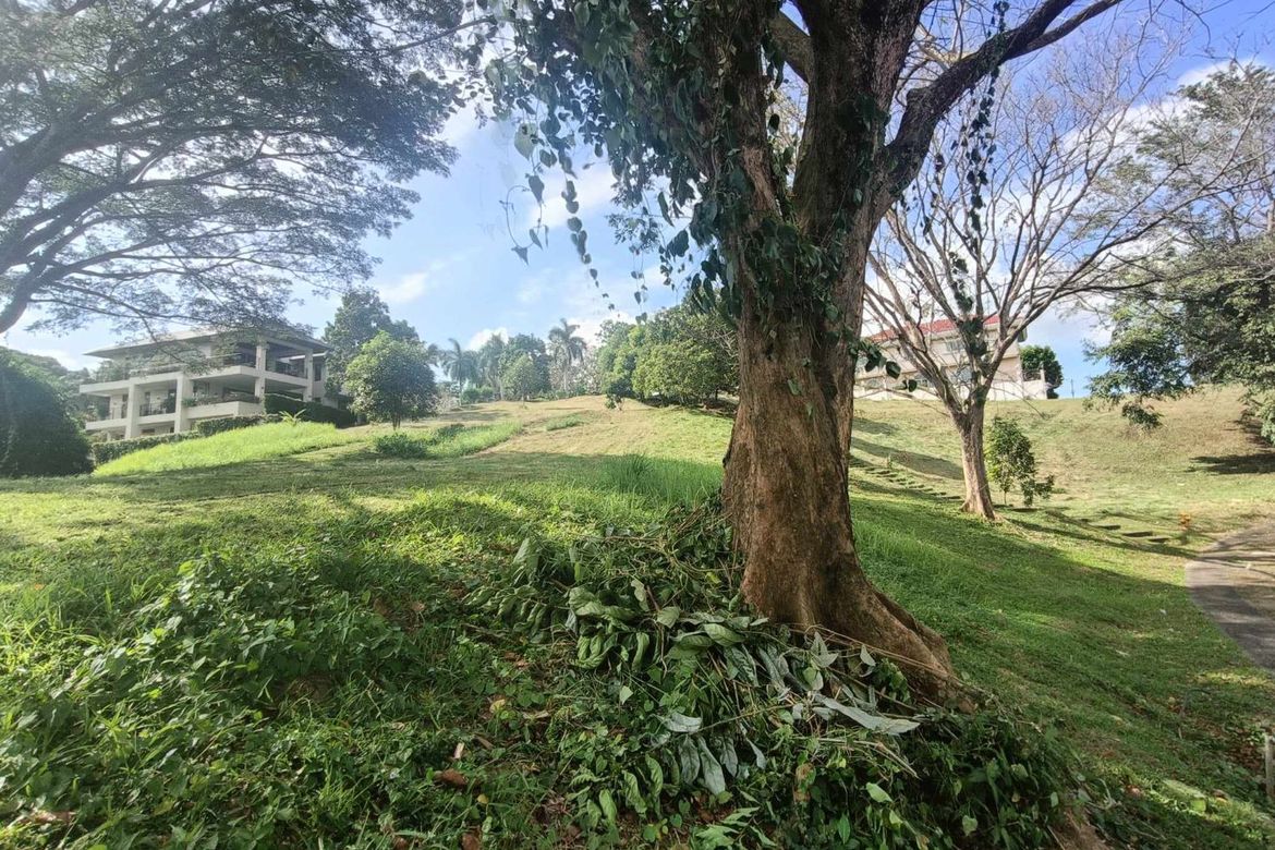 Land for Sale in Inchican, Silang, Cavite – photo 2