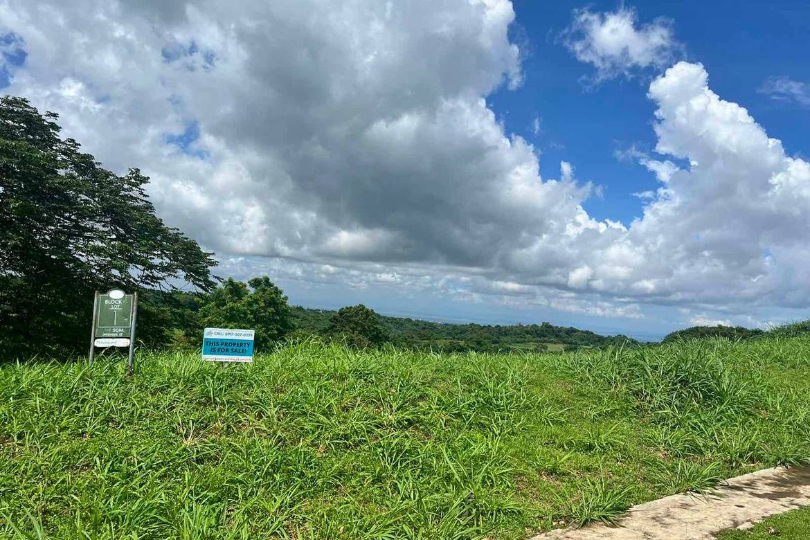 Land for Sale in Inchican, Silang, Cavite – photo 2