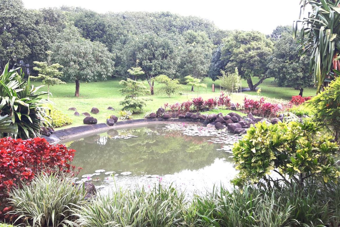 Land for Sale in Inchican, Silang, Cavite – photo 5
