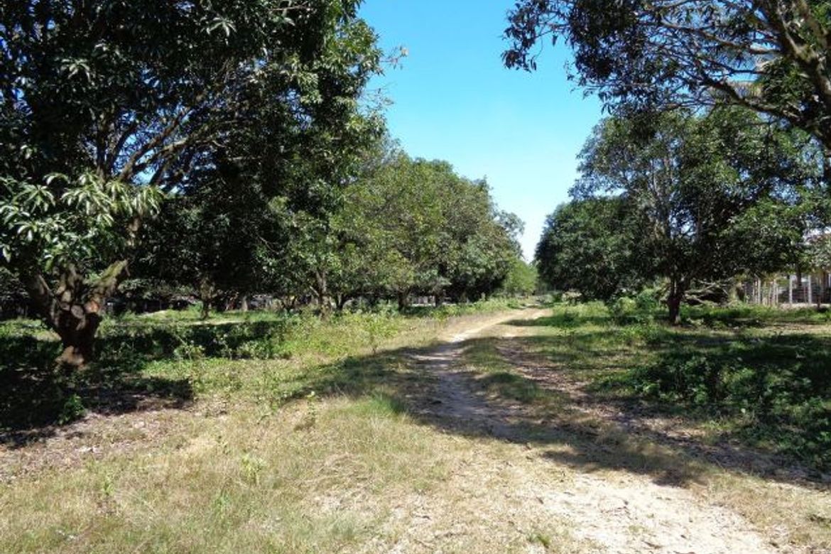 Land for Sale in Indahag, Cagayan de Oro, Misamis Oriental – photo 4