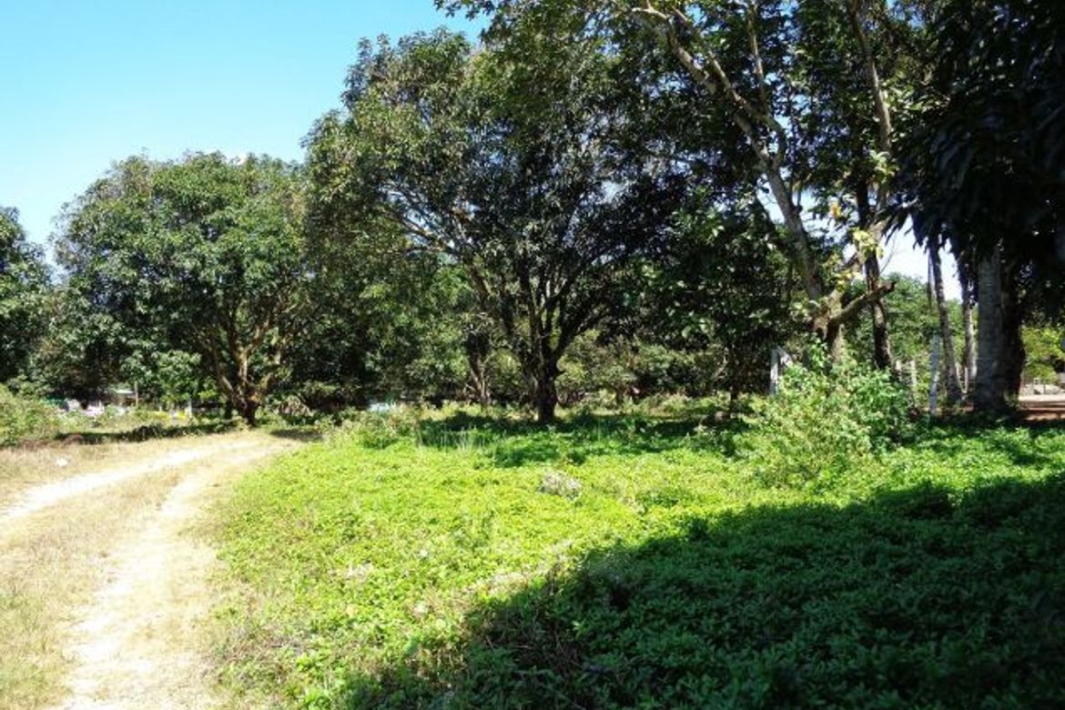 Land for Sale in Indahag, Cagayan de Oro, Misamis Oriental – photo 5