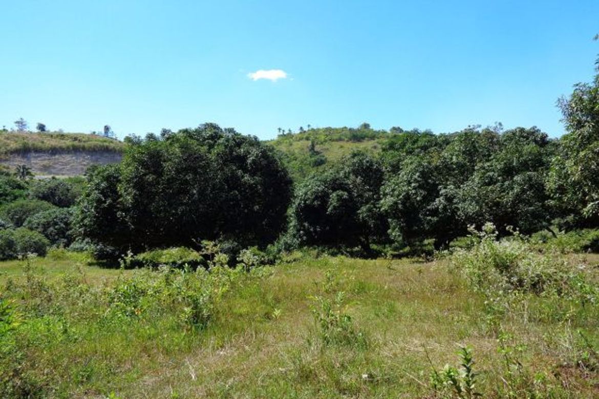 Land for Sale in Indahag, Cagayan de Oro, Misamis Oriental – photo 6