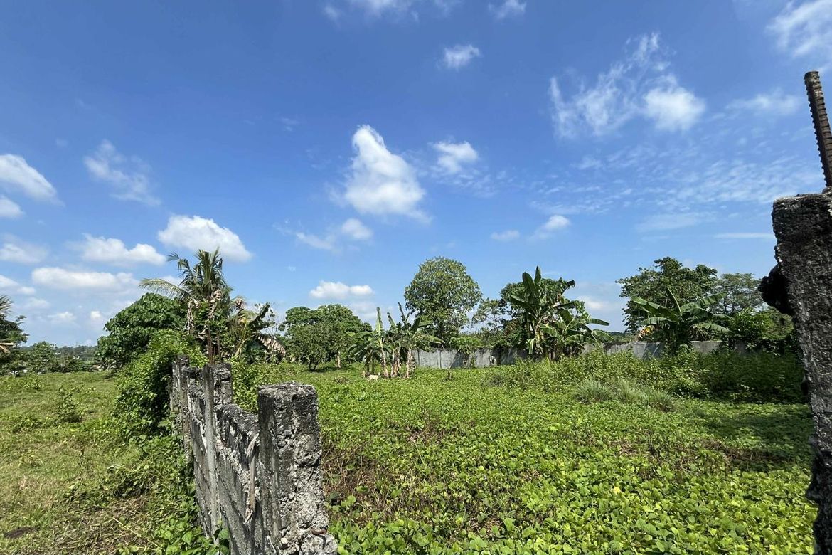 Land for Sale in Indangan, Davao City, Davao del Sur – photo 2