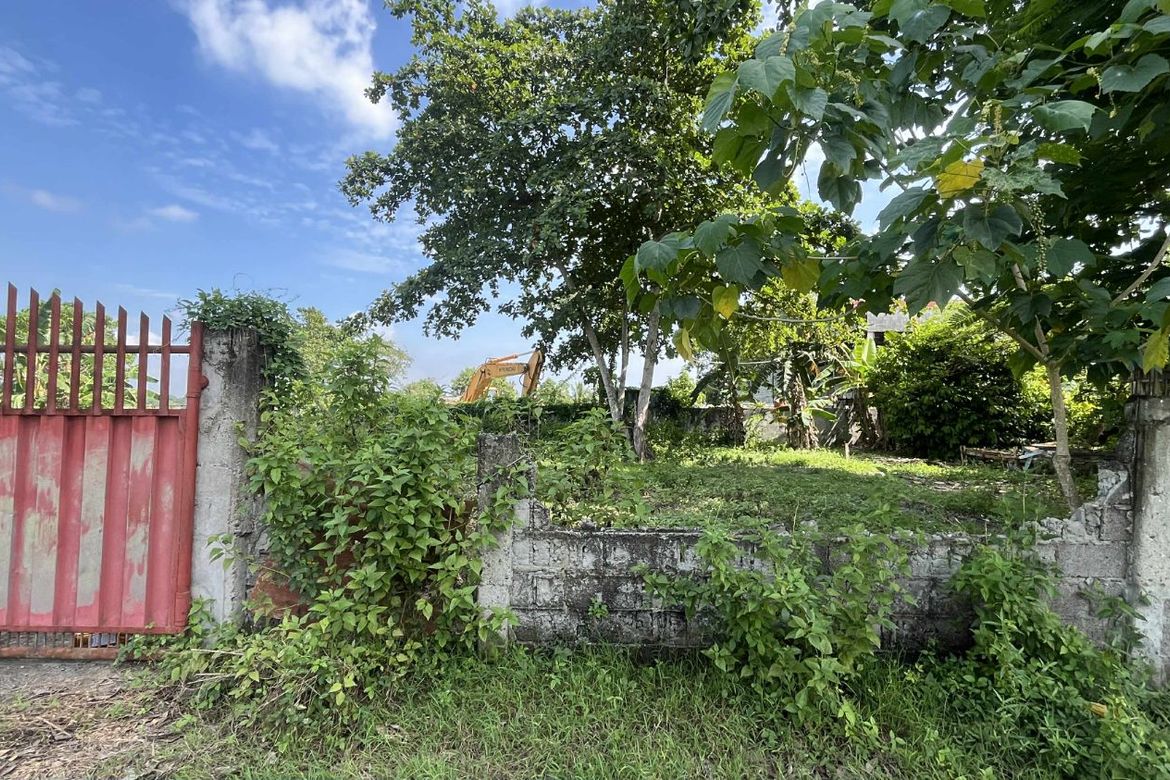 Land for Sale in Indangan, Davao City, Davao del Sur – photo 5