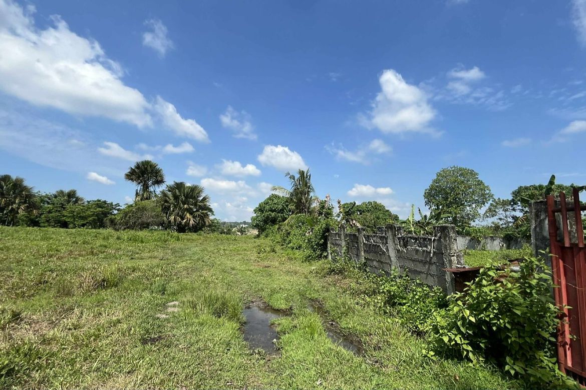 Land for Sale in Indangan, Davao City, Davao del Sur – photo 8