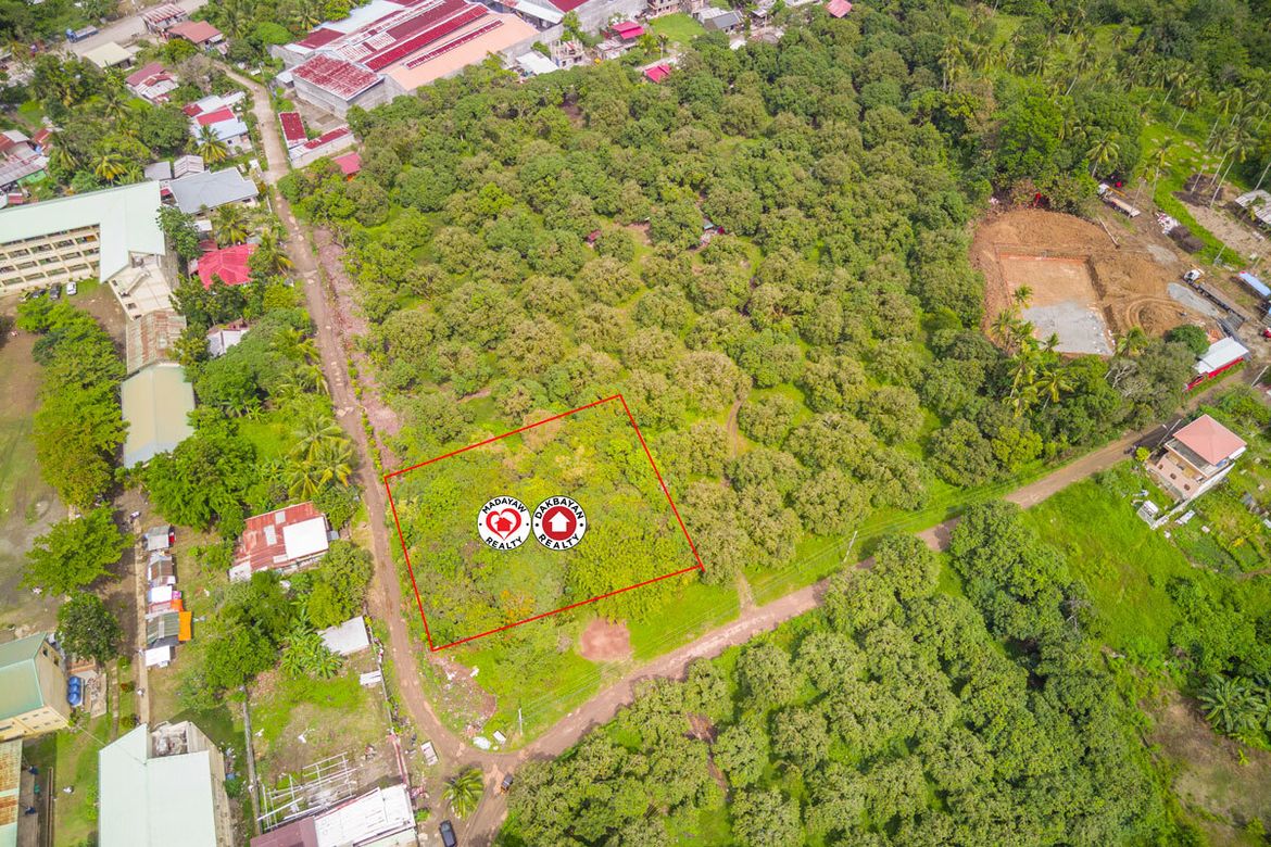 Land for Sale in Indangan, Davao City, Davao del Sur
