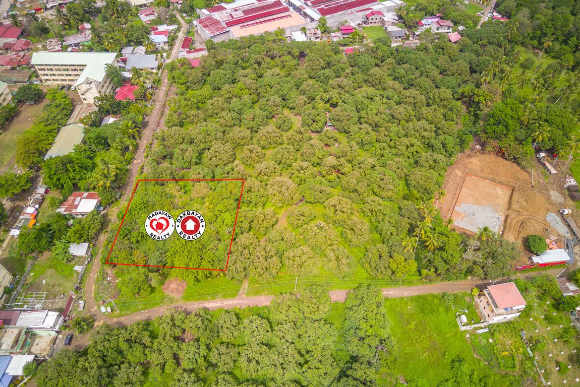 Land for Sale in Indangan, Davao City, Davao del Sur – photo 2