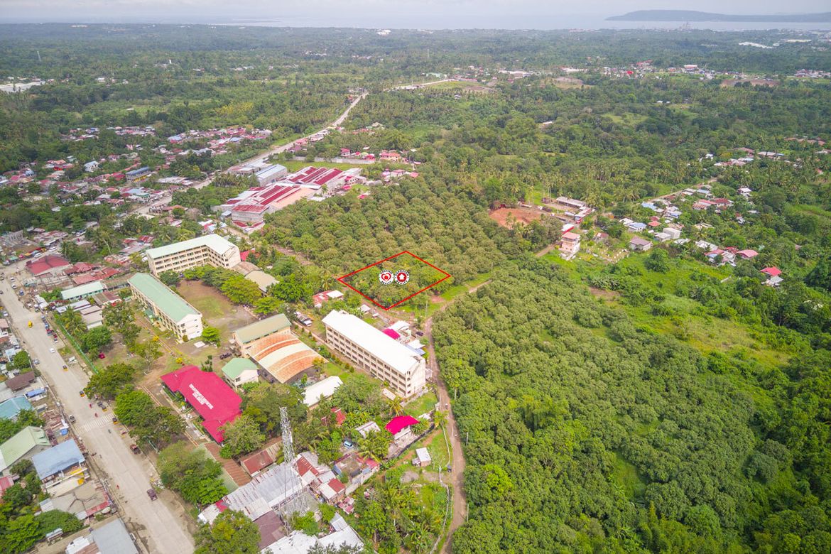 Land for Sale in Indangan, Davao City, Davao del Sur – photo 3