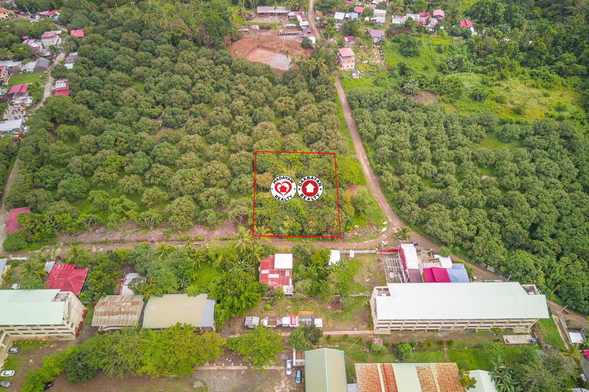 Land for Sale in Indangan, Davao City, Davao del Sur – photo 4