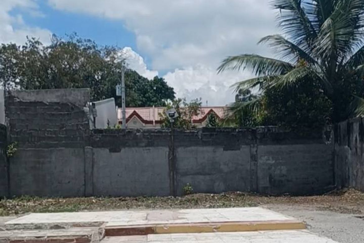 Land for Sale in Indangan, Davao City, Davao del Sur – photo 3
