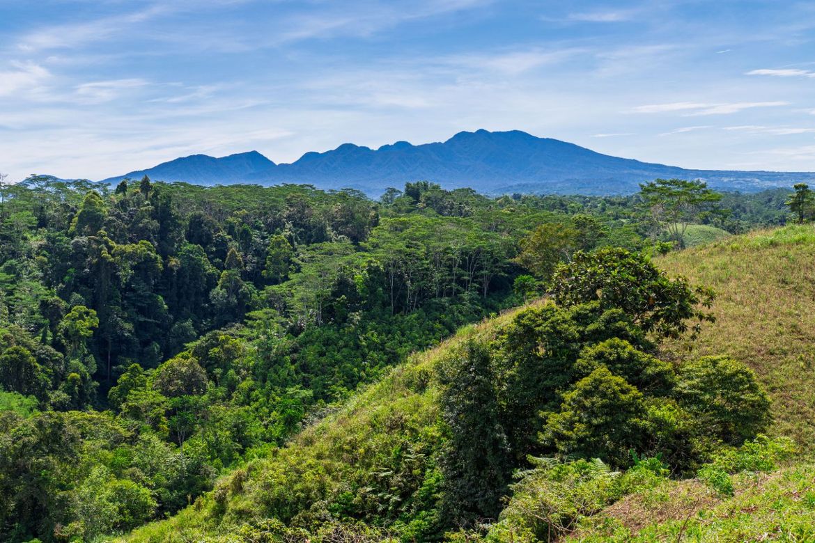 Land for Sale in Indulang, Talakag, Bukidnon – photo 3