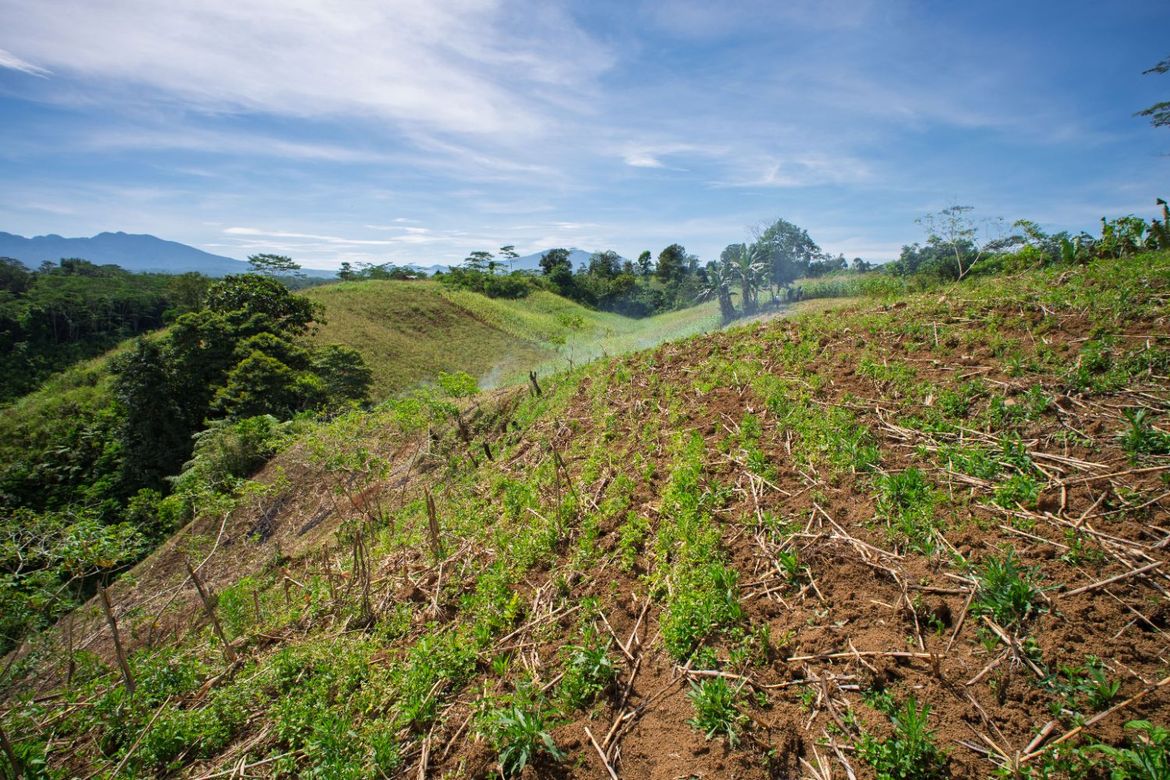 Land for Sale in Indulang, Talakag, Bukidnon – photo 7