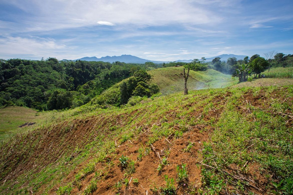Land for Sale in Indulang, Talakag, Bukidnon – photo 8