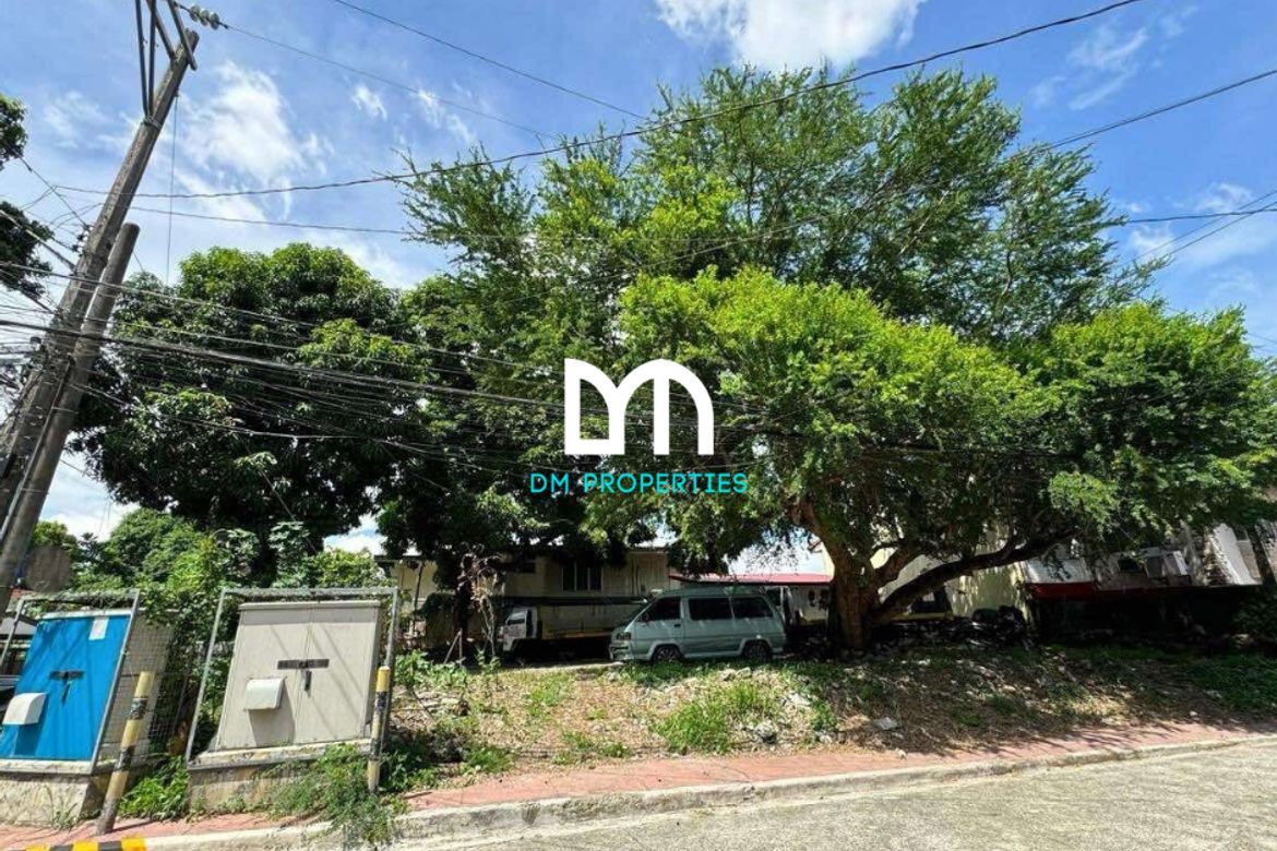 Land for Sale in Industrial Valley, Marikina, Metro Manila near LRT-2 Katipunan
