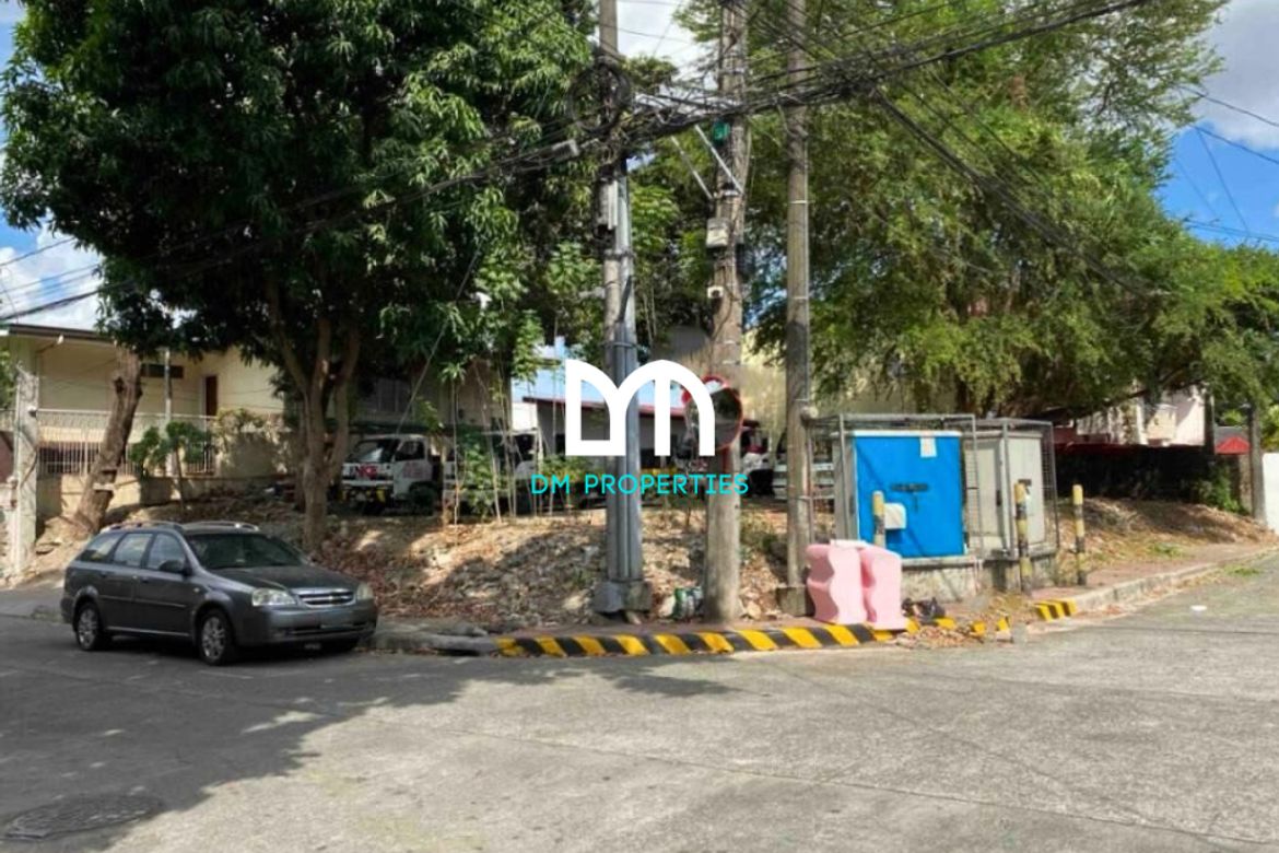 Land for Sale in Industrial Valley, Marikina, Metro Manila near LRT-2 Katipunan – photo 3