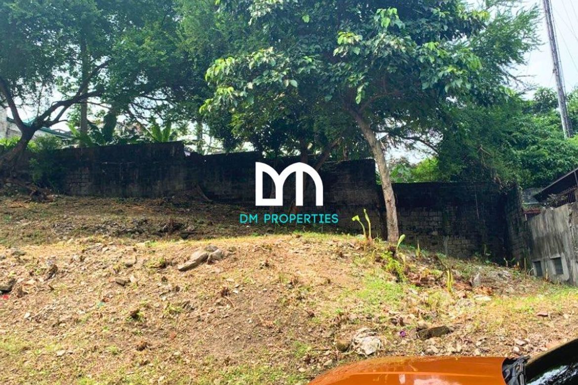Land for Sale in Industrial Valley, Marikina, Metro Manila near LRT-2 Santolan – photo 2