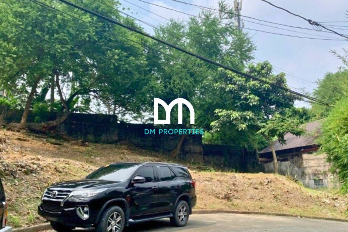 Land for Sale in Industrial Valley, Marikina, Metro Manila near LRT-2 Santolan – photo 3