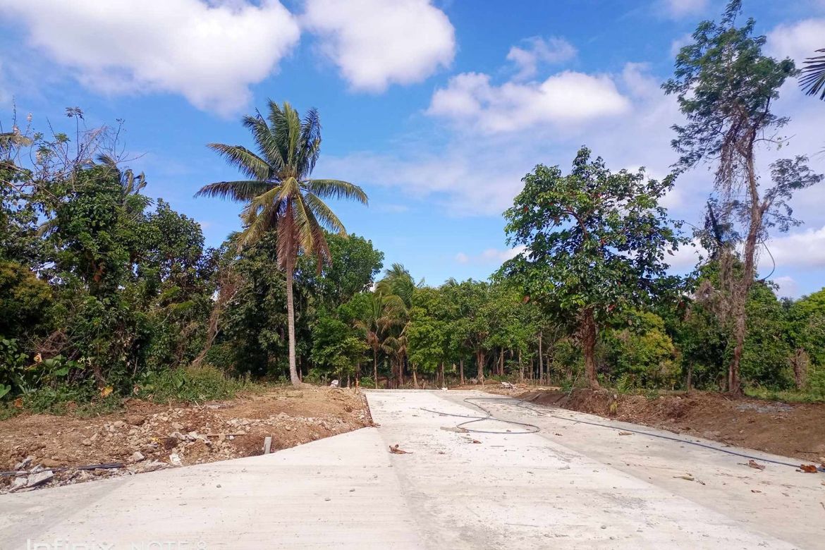 Land for Sale in Inocencio, Trece Martires, Cavite – photo 7