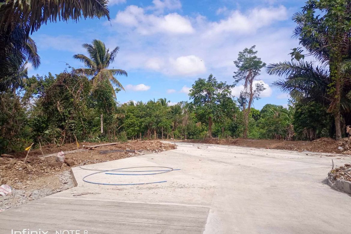 Land for Sale in Inocencio, Trece Martires, Cavite – photo 8