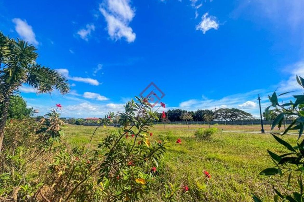Land for Sale in Inocencio, Trece Martires, Cavite – photo 8