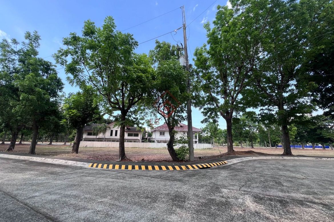 Land for Sale in Inocencio, Trece Martires, Cavite – photo 6