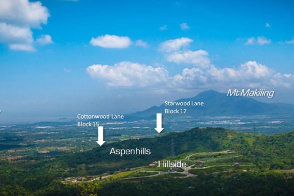 Land for Sale in Inocencio, Trece Martires, Cavite – photo 2