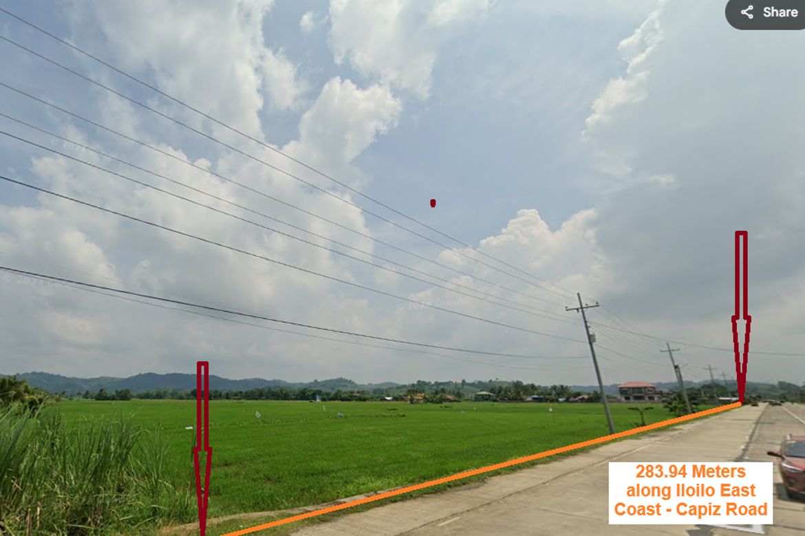 Land for Sale in Intungcan, Pontevedra, Capiz – photo 7