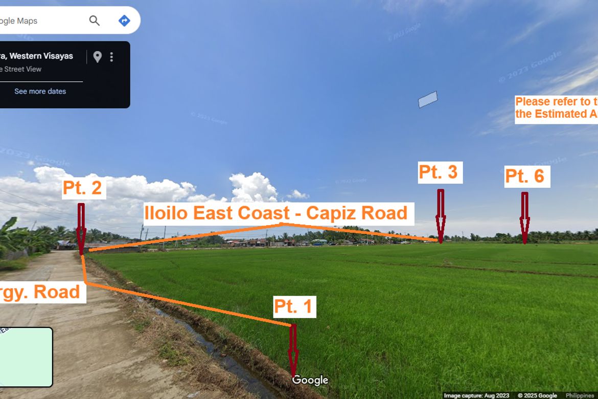 Land for Sale in Intungcan, Pontevedra, Capiz – photo 8