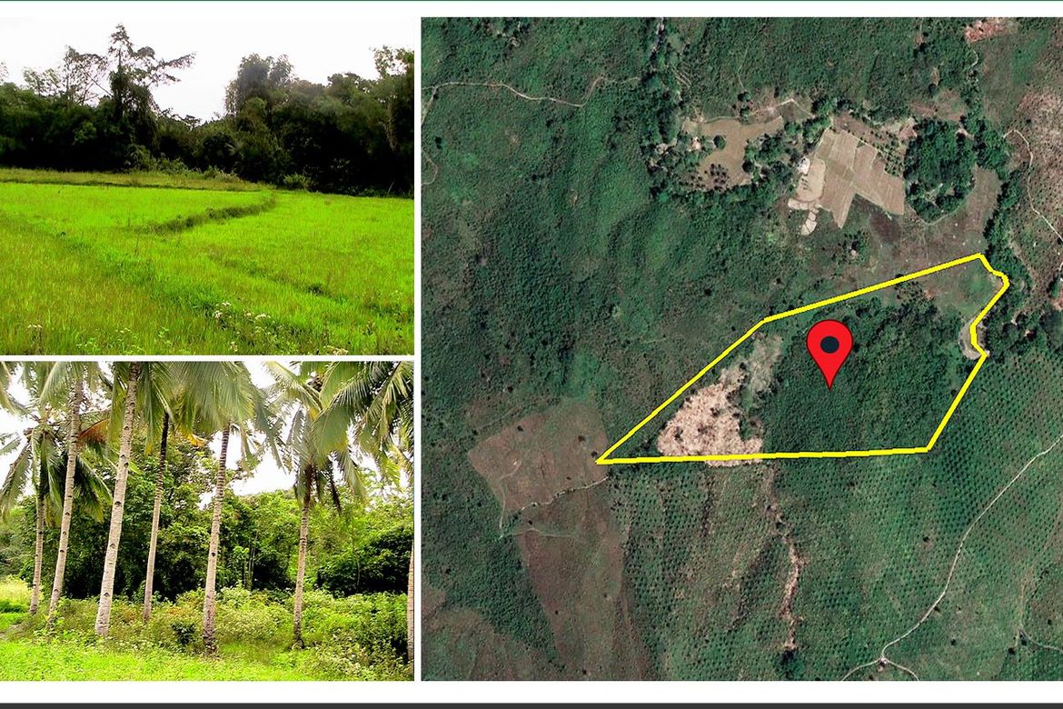 Land for Sale in Iraray, Sofronio Española, Palawan