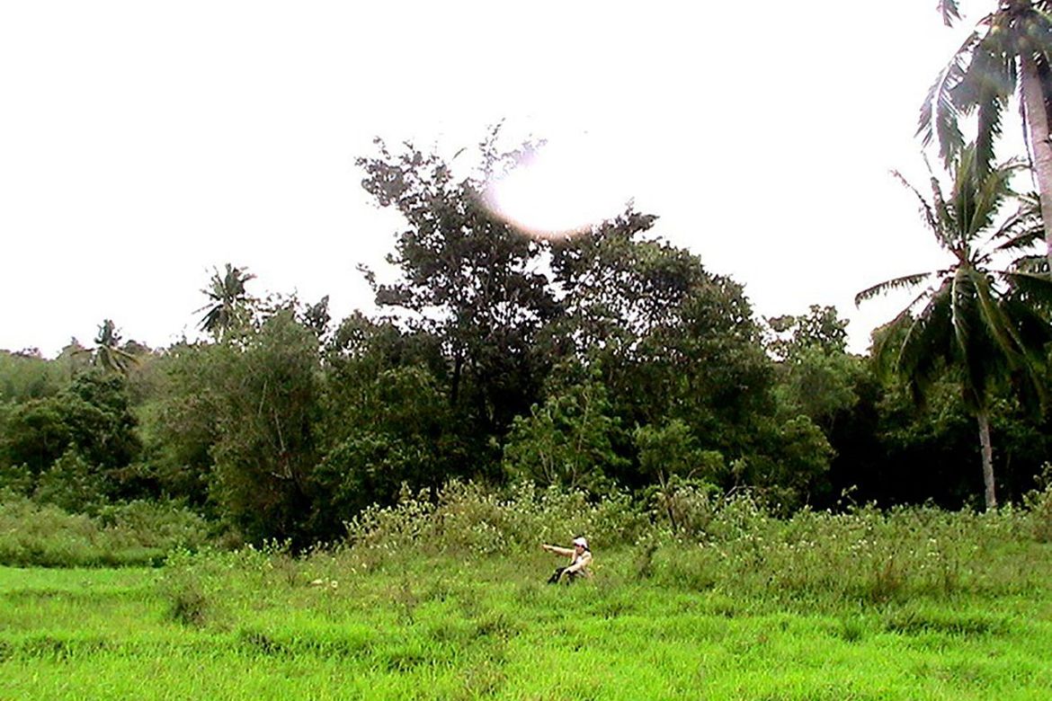 Land for Sale in Iraray, Sofronio Española, Palawan – photo 7