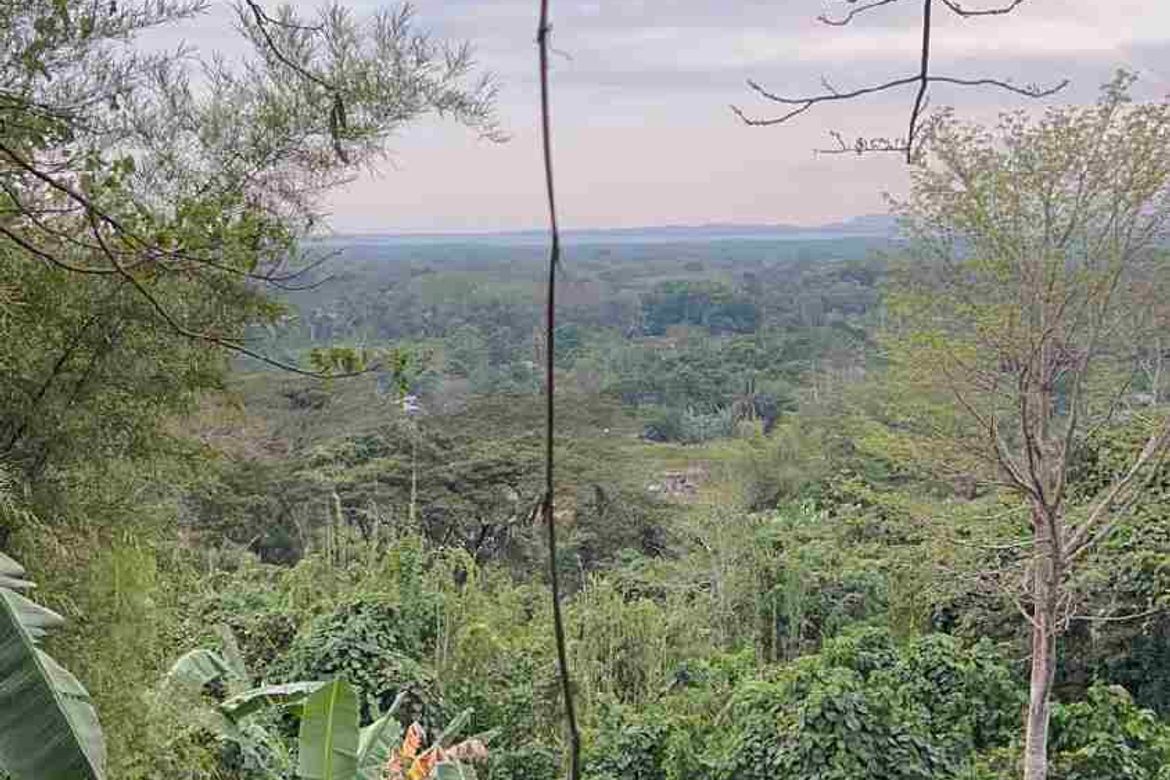 Land for Sale in Irawan, Puerto Princesa, Palawan
